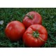 Tomate Rouge demi-saison Muscat