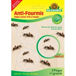 Piège Anti-fourmis